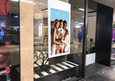 Hanging Double-Sided Window Displays