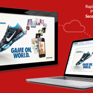 CMS SUBCRIPTION LIFETIME