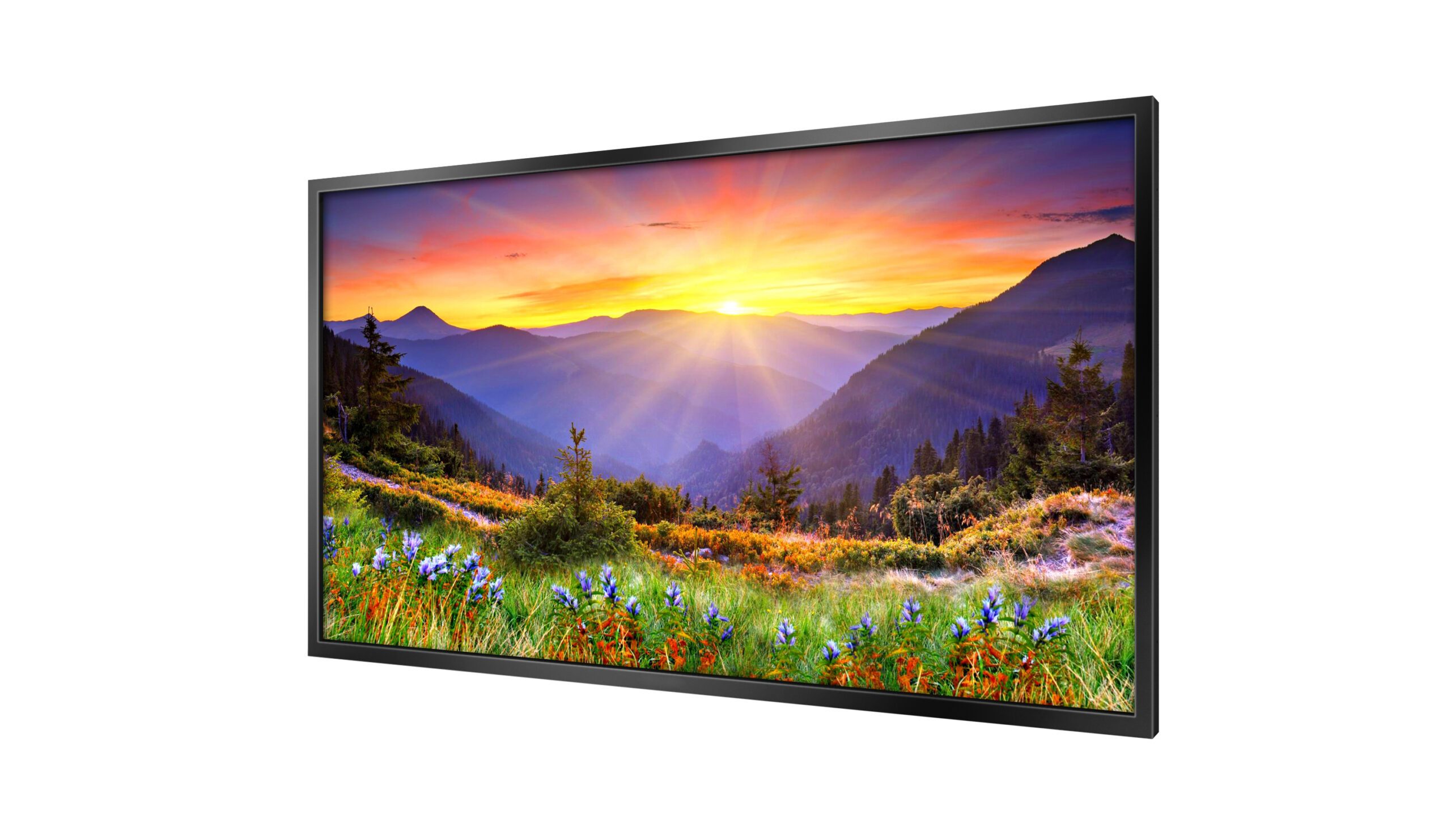 HB32C 32" HIGH BRIGHTNESS PROFESSIONAL MONITOR - Image 7